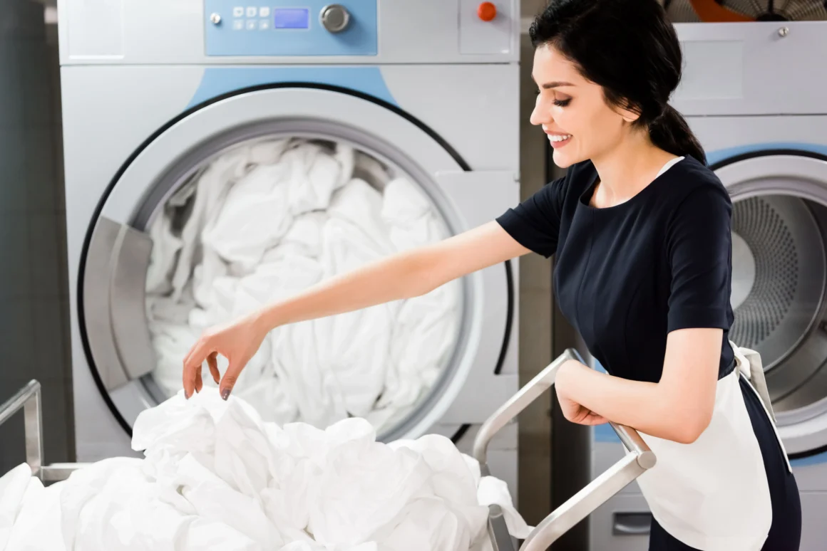 professional laundry service